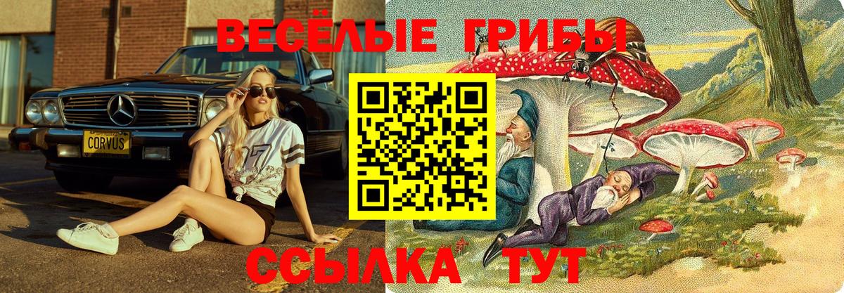 Нефтеюганск  Галлюциногенные грибы мицелий  Вход с VPN  Галлюциногенные грибы Psilocybine cubensis 